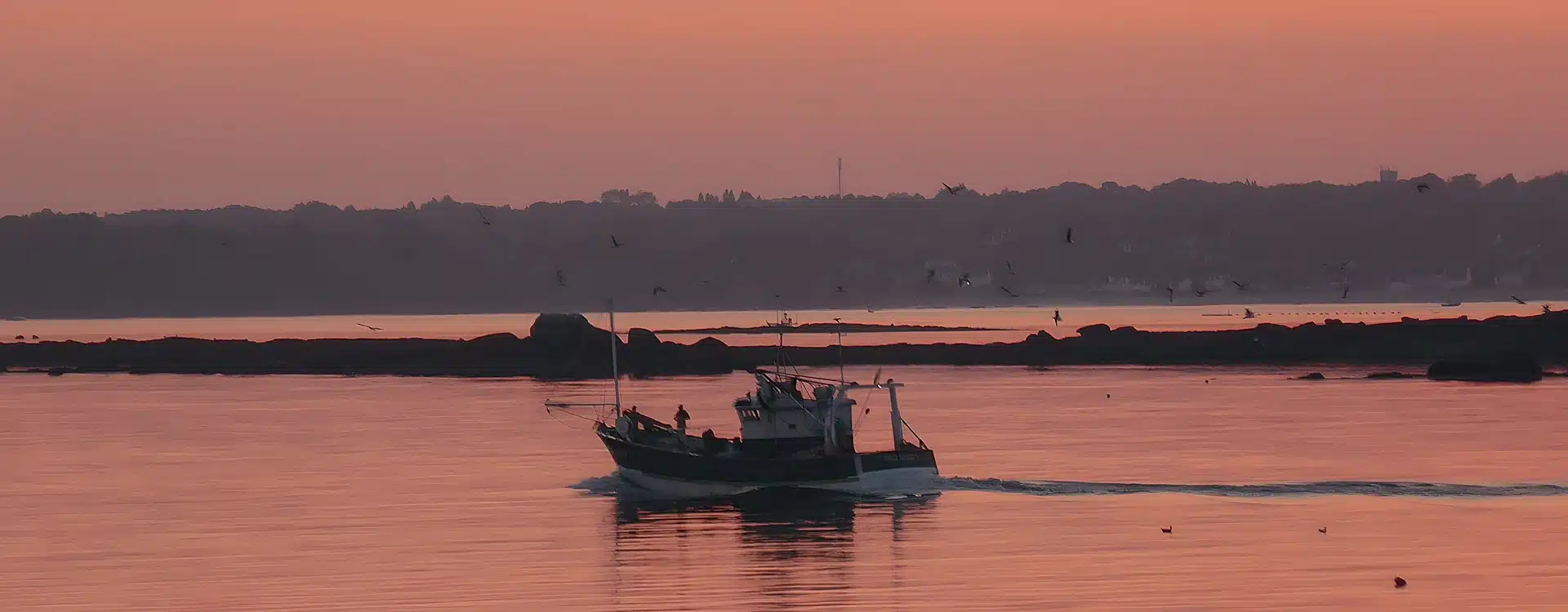 le musee de la peche a concarneau