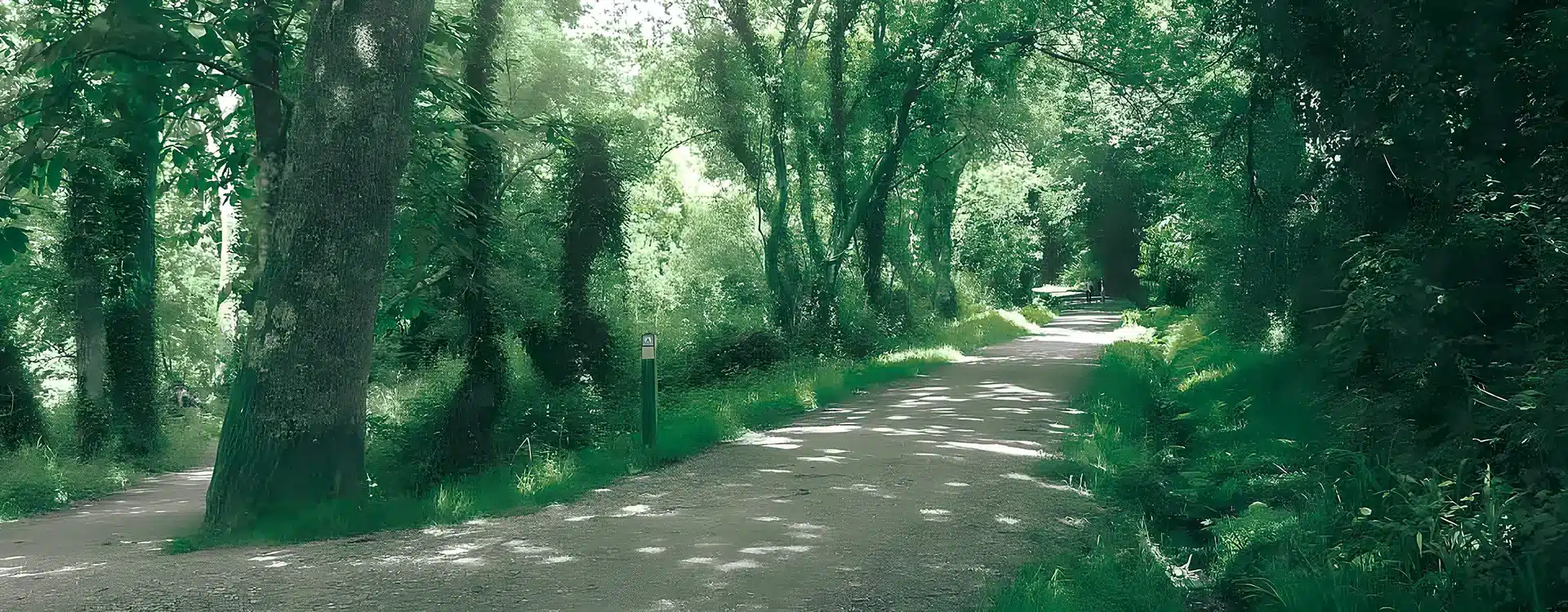 la voie verte a concarneau