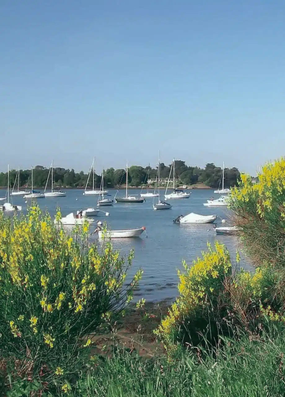 boten golfe du Morbihan