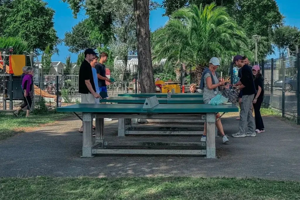 pin pong table