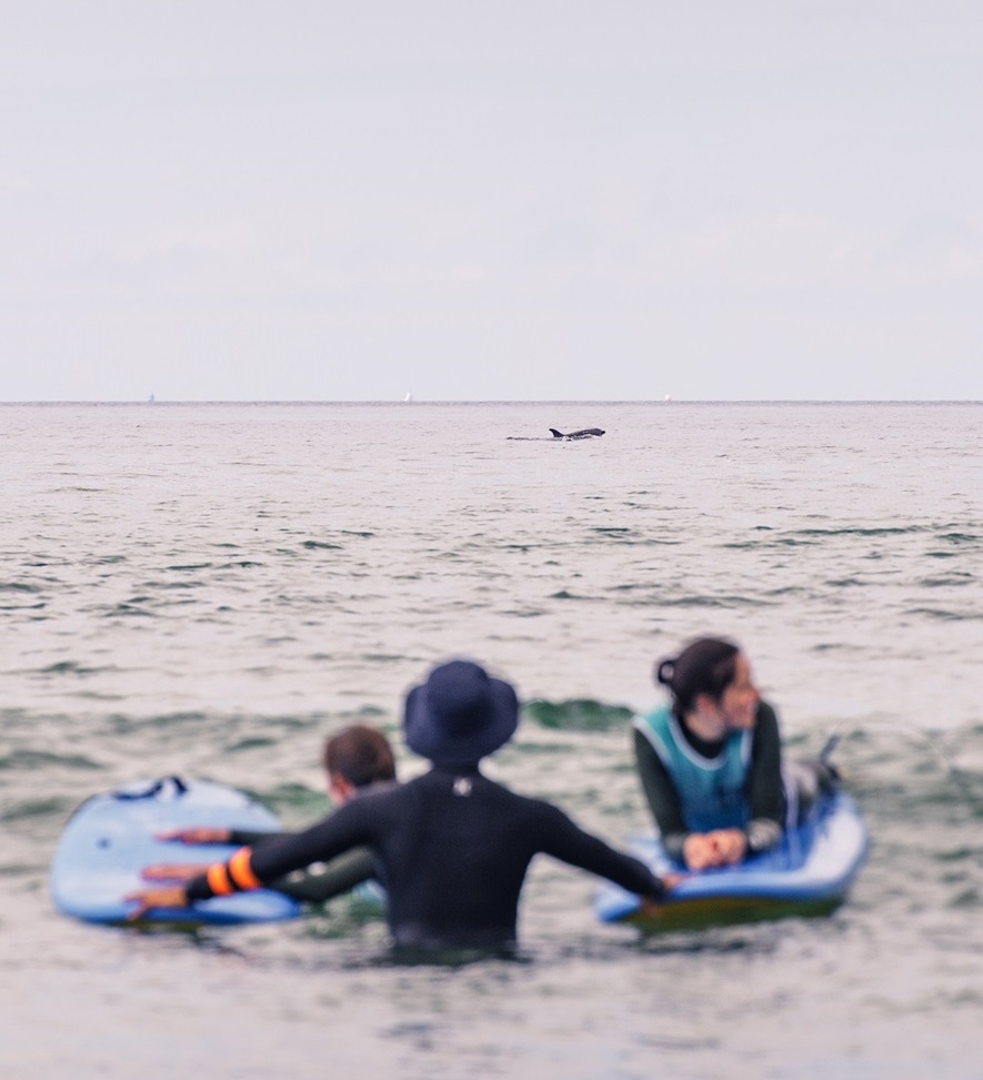 cours de surf guidel morbihan dauphins